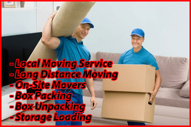 Packers And Movers Noida Sector 155